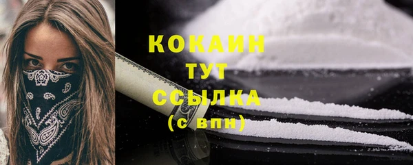 ешки Бородино