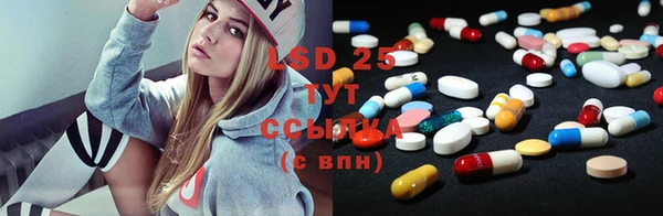 ешки Бородино