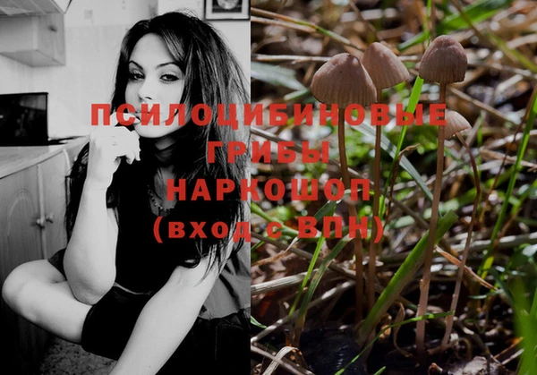 ПСИЛОЦИБИНОВЫЕ ГРИБЫ Бугульма