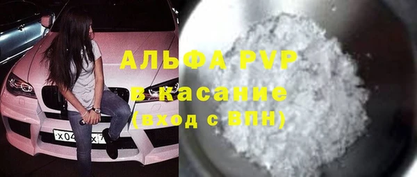 ешки Бородино