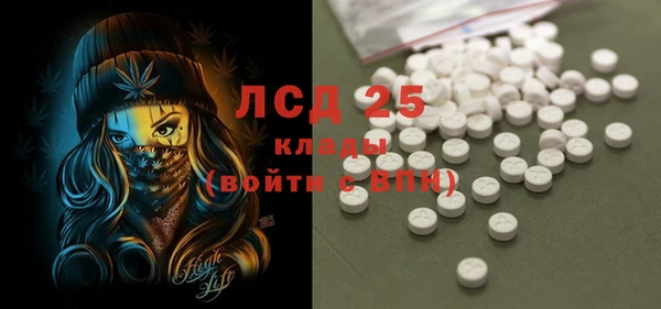 ешки Бородино