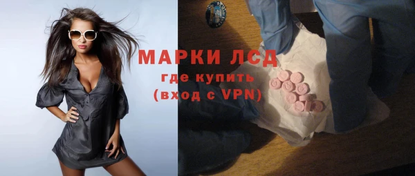 ешки Бородино