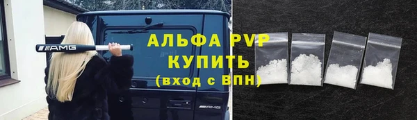 ешки Бородино