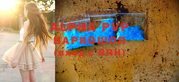 ешки Бородино