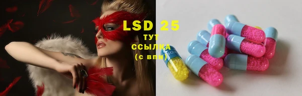 ПСИЛОЦИБИНОВЫЕ ГРИБЫ Бугульма
