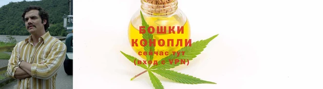 ПСИЛОЦИБИНОВЫЕ ГРИБЫ Бугульма