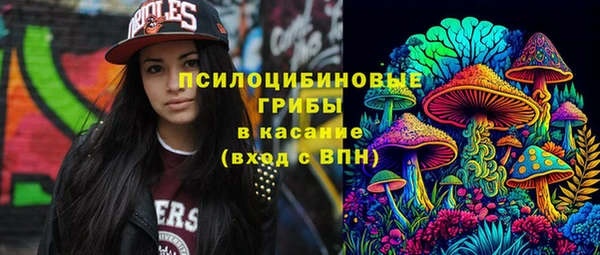 герыч Бронницы