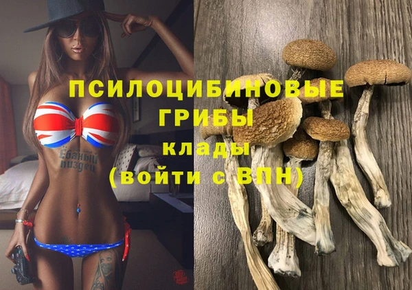 шишки Заводоуковск