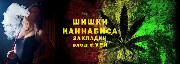 ешки Бородино