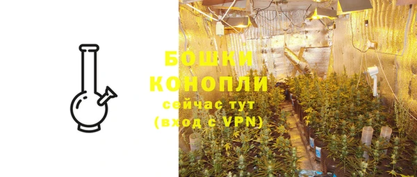 ешки Бородино