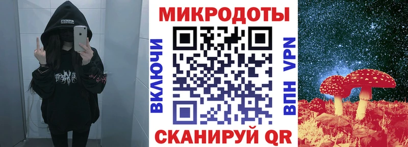 Псилоцибиновые грибы Psilocybine cubensis  Ростов 